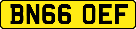 BN66OEF