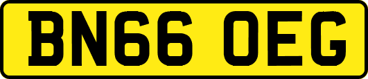 BN66OEG