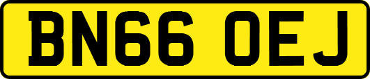 BN66OEJ