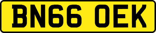 BN66OEK
