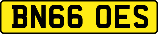 BN66OES