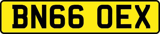 BN66OEX