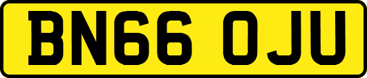 BN66OJU