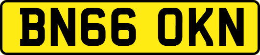 BN66OKN