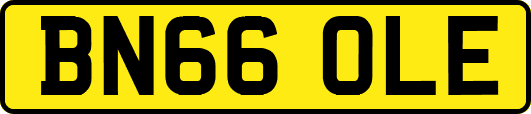 BN66OLE