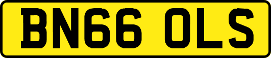 BN66OLS
