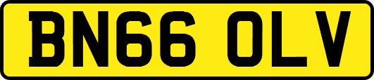 BN66OLV