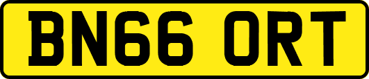 BN66ORT
