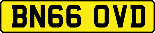 BN66OVD