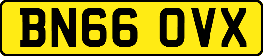 BN66OVX