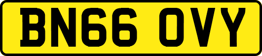 BN66OVY