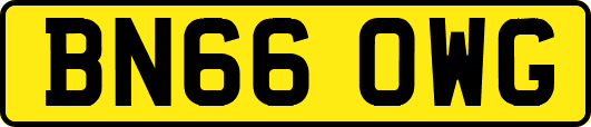BN66OWG