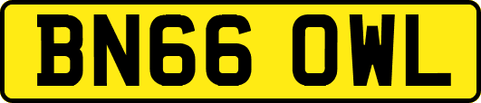 BN66OWL