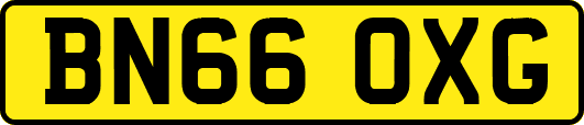 BN66OXG