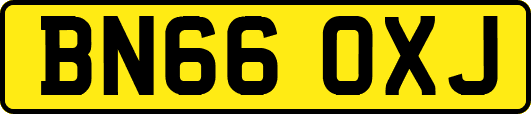 BN66OXJ
