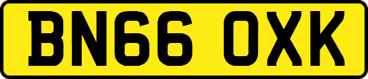 BN66OXK