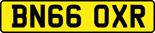 BN66OXR