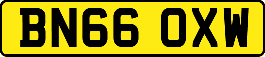 BN66OXW
