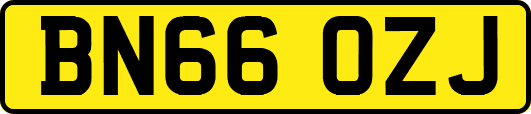 BN66OZJ