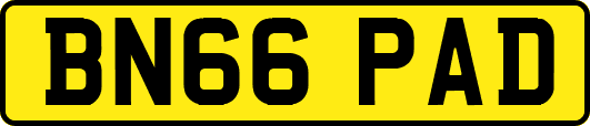 BN66PAD
