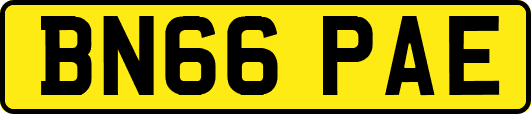 BN66PAE