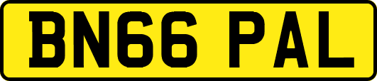 BN66PAL