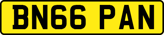 BN66PAN