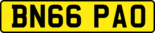 BN66PAO