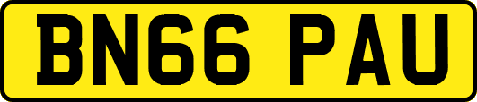 BN66PAU