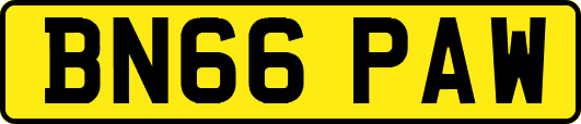 BN66PAW