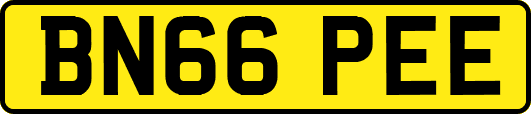 BN66PEE