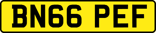 BN66PEF