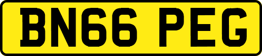 BN66PEG