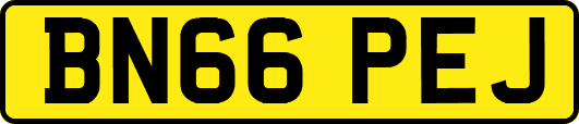 BN66PEJ