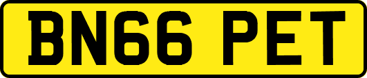 BN66PET