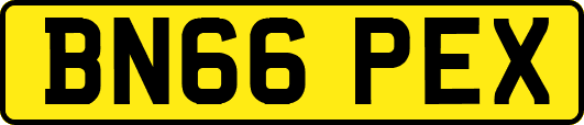 BN66PEX