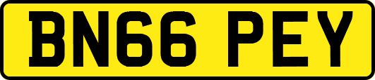 BN66PEY