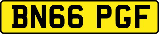 BN66PGF