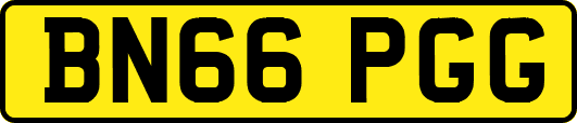 BN66PGG