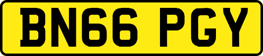 BN66PGY