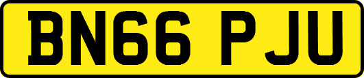 BN66PJU