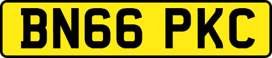BN66PKC