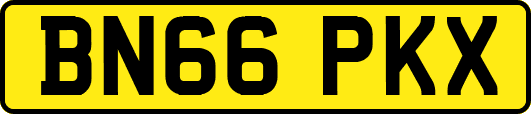BN66PKX