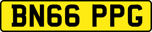 BN66PPG