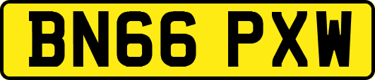 BN66PXW