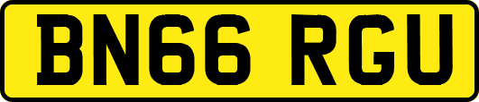 BN66RGU