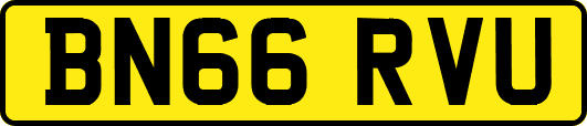 BN66RVU