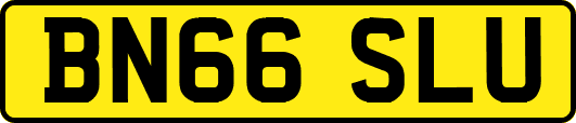 BN66SLU