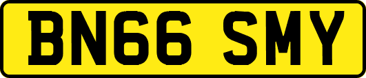 BN66SMY