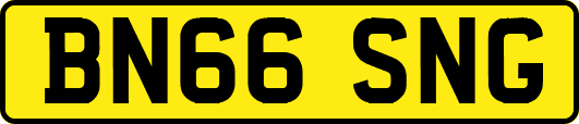 BN66SNG